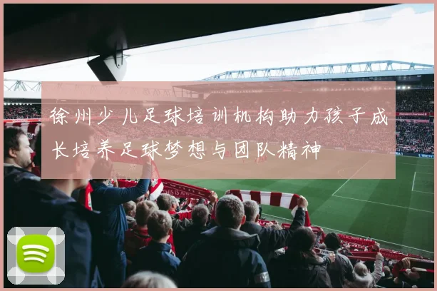 徐州少儿足球培训机构助力孩子成长培养足球梦想与团队精神